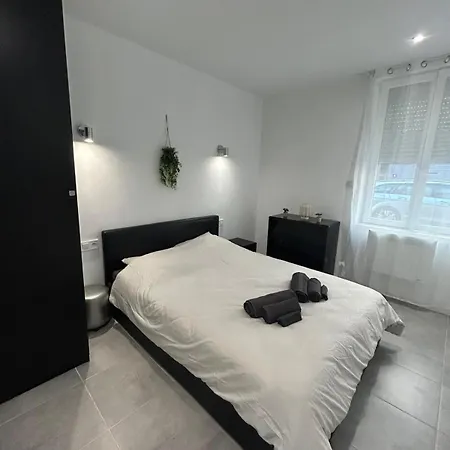 Apartment T4 Avec Jardin, Proche Jardin Des Plantes