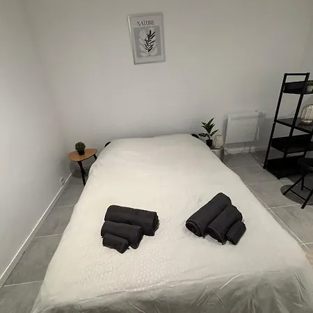 Apartment T4 Avec Jardin, Proche Jardin Des Plantes