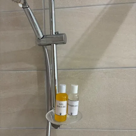 Appartement T4 Avec Jardin, Proche Jardin Des Plantes Rouen