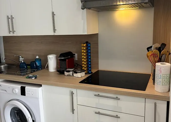 Apartment T4 Avec Jardin, Proche Jardin Des Plantes *