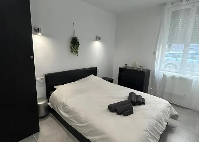 Apartment T4 Avec Jardin, Proche Jardin Des Plantes