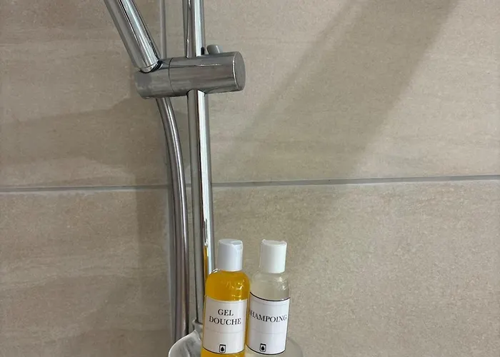 Apartment T4 Avec Jardin, Proche Jardin Des Plantes Rouen